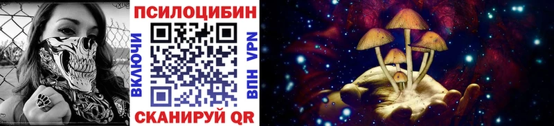 Галлюциногенные грибы мицелий Можга