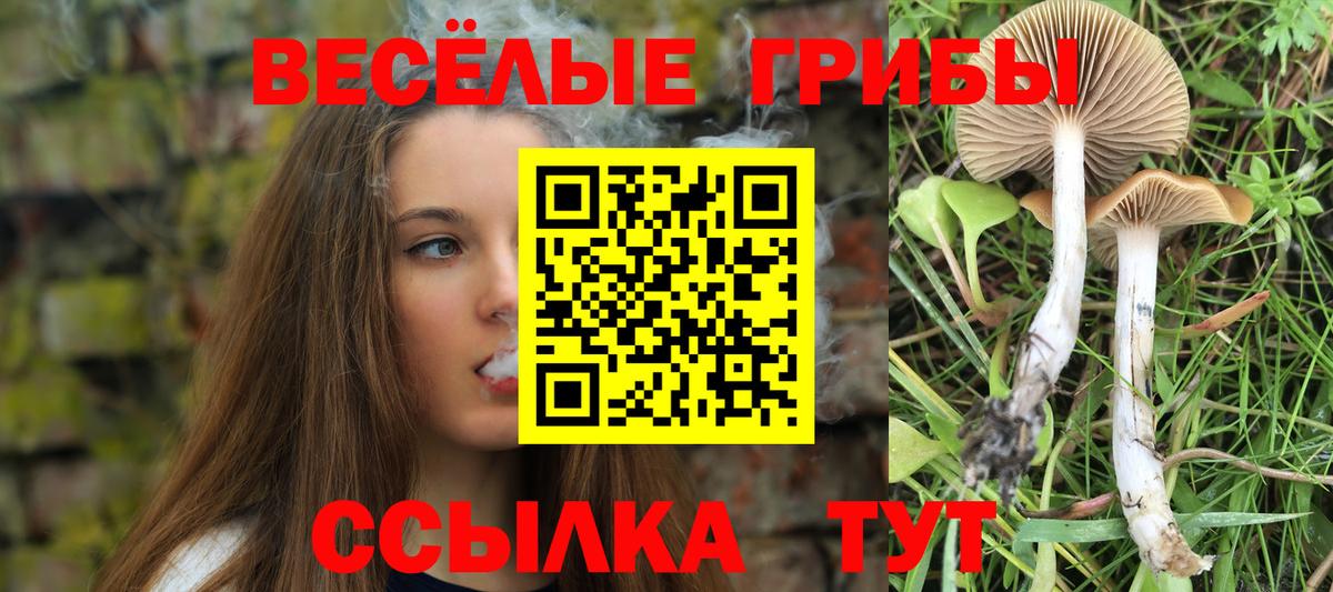 сколько стоит  Вход с VPN  Можга  Галлюциногенные грибы ЛСД  Галлюциногенные грибы мухоморы 